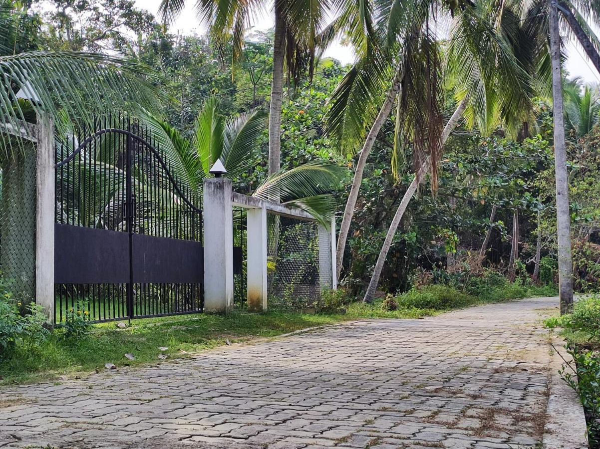 Schatzi'S Hideaway Tangalle Exteriér fotografie